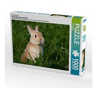 CALVENDO Puzzle Enfants Animaux Petits et Mignons 1000 Pieces 64 x 48 cm from Berit Seiboth