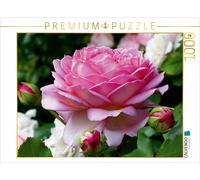 CALVENDO Puzzle Englische Rosen im Garten 1000 Teile Puzzle quer | 1000 Teile Le
