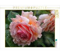 Puzzle CALVENDO Une rose anglaise sous la pluie | 1000 pièces, format assemblé 6