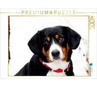 CALVENDO Puzzle Entlebuch Chien de Montagne 1000 Pieces 64 x 48 cm from SchnelleWelten