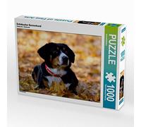 CALVENDO Puzzle Entlebucher Sennenhund 1000 Teile Puzzle quer 1000 Pieces 64 x 48 cm from SchnelleWelten