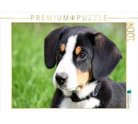 CALVENDO Puzzle Entlebucher Sennenhund Welpe 1000 Teile Puzzle quer 1000 Pieces 64 x 48 cm from SchnelleWelten