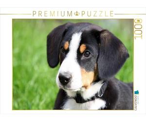 CALVENDO Puzzle Entlebucher Sennenhund Welpe 1000 Teile Puzzle quer 1000 Pieces 64 x 48 cm from SchnelleWelten