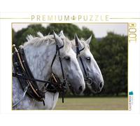 CALVENDO Puzzle Équipe Percheron 1000 Pieces 64 x 48 cm from Martina Berg