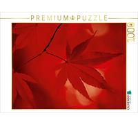 CALVENDO Puzzle Érable en éventail Japonais - Couleurs d'automne 1000 Pieces 64 x 48 cm from bild-erzaehler