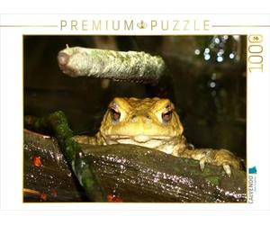 CALVENDO Puzzle Erdkröte 1000 Teile Puzzle quer 1000 Pieces 64 x 48 cm from Conny Krakowski