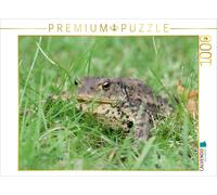 CALVENDO Puzzle Erdkröte 1000 Teile Puzzle quer | 1000 Teile Lege-Größe 64x48cm