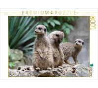 CALVENDO Puzzle Erdmännchen - kleine Wachposten | 1000 Teile Lege-Größe 64x48cm