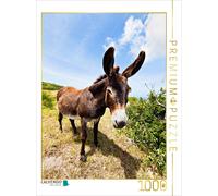 CALVENDO Puzzle Esel in der Landschaft | 1000 pieces, finished size 25.2 × 18.9