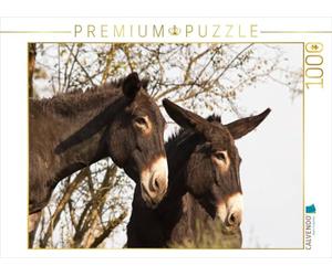 CALVENDO Puzzle Esel Unter Sich 1000 Teile Puzzle quer 1000 Pieces 64 x 48 cm from Meike Bölts