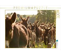 CALVENDO Puzzle Eselherde Auf der Wanderung 1000 Teile Puzzle quer 1000 Pieces 64 x 48 cm from Meike Bölts