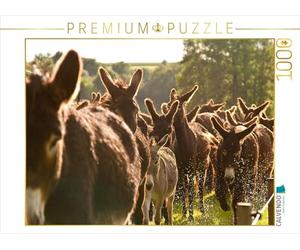 CALVENDO Puzzle Eselherde Auf der Wanderung 1000 Teile Puzzle quer 1000 Pieces 64 x 48 cm from Meike Bölts