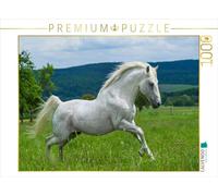 CALVENDO Puzzle étalon lipizzan 1000 Pieces 64 x 48 cm from Sista-Tierfoto