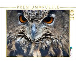 CALVENDO Puzzle Eule 1000 Teile Puzzle quer 1000 Pieces 64 x 48 cm from Bo Valentino