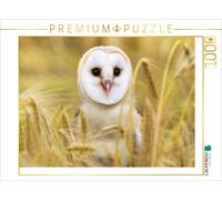 CALVENDO Puzzle Chouettes : Chouette effraie chassant des Souris dans Un Champ. 1000 Pieces 64 x 48 cm from Verlag