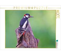 Puzzle CALVENDO Pic épeiche | 1000 pièces, format assemblé 64 × 48 cm | Puzzle p