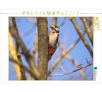 CALVENDO Puzzle Eurasian Great Spotted Woodpecker | 1000 pieces, finished size 2