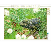 CALVENDO Puzzle Europäisches Chamäleon sitzt getarnt in einem Busch. 1000 Teile Puzzle quer 1000 Pieces 64 x 48 cm from Verlag