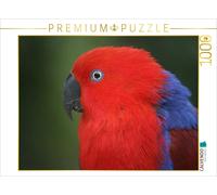 CALVENDO Puzzle Perroquet Noble (Femelle) 1000 Pieces 64 x 48 cm from Martina Berg