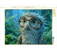 CALVENDO Puzzle Explorer-Eule | 1000 pieces, finished size 25.2 × 18.9 in (64 ×
