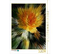 CALVENDO Puzzle Explosion de Fleurs Explosion de Fleurs X Photo Art° V Photo Art° par Rosemarie Hofer 1000 Pieces 48 x 64 cm from Rosemarie Hofer