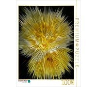 CALVENDO Puzzle Explosion de Fleurs I Photo Art° par Rosemarie Hofer 1000 Pieces 48 x 64 cm from Rosemarie Hofer