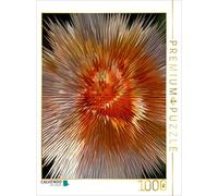 CALVENDO Puzzle Explosion de Fleurs III Photo Art° par Rosemarie Hofer 1000 Pieces 48 x 64 cm from Rosemarie Hofer