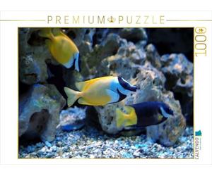 CALVENDO Puzzle Face de Renard (Siganus vulpinus) 1000 Pieces 64 x 48 cm from Bianca Schumann