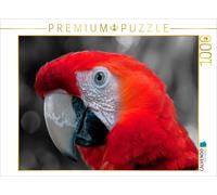 CALVENDO Puzzle Visages - Ara Perroquet 1000 Pieces 64 x 48 cm from Peter Roder