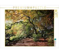 CALVENDO Puzzle L'automne dans Toute sa splendeur de Couleurs 1000 Pieces 64 x 48 cm from Bernhard Loewa