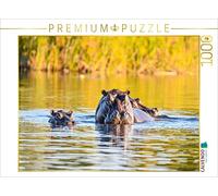 CALVENDO Puzzle Famille d'hippopotames 1000 Pieces 64 x 48 cm from Robert STYPPA