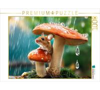 CALVENDO Puzzle Fantastique - Une Chaise sous la Pluie avec Un Parapluie | 1000 pièces de Taille de la Ponte 64 x 48 cm Puzzle Photo pour des Heures heureuses