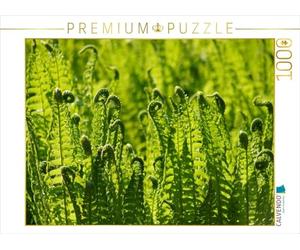 CALVENDO Puzzle Farn 1000 Teile Puzzle quer 1000 Pieces 64 x 48 cm from Kattobello