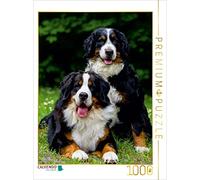 CALVENDO Puzzle Fascination Bouvier Bernois 1000 Pieces 48 x 64 cm from Sista-Tierfoto