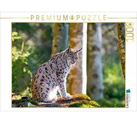 CALVENDO Puzzle Fascination Lynx dans la forêt Bavaroise 1000 Pieces 64 x 48 cm from Christian Haidl