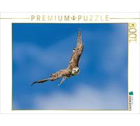 CALVENDO Puzzle Faucon Saker 1000 Pieces 64 x 48 cm from Markus Van Hauten