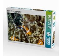 CALVENDO Puzzle Fausse Clown - Poisson anémone 1000 Pieces 64 x 48 cm from Michael Tschierschky