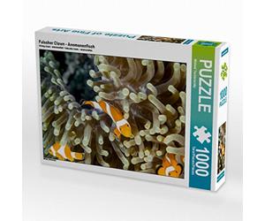 CALVENDO Puzzle Fausse Clown - Poisson anémone 1000 Pieces 64 x 48 cm from Michael Tschierschky