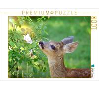 CALVENDO Puzzle Rehkitz mit Rose 1000 Teile Puzzle quer 1000 Pieces 64 x 48 cm from Sabine Löwer