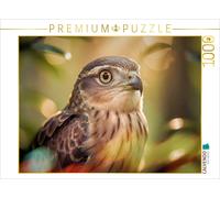 CALVENDO Puzzle Feathered Poetry: When Colors Become Stories. | 1000 pieces, fin
