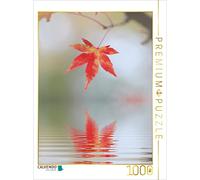 CALVENDO Puzzle Feuille d'érable d'automne avec reflet 1000 Pieces 48 x 64 cm from SusaZoom
