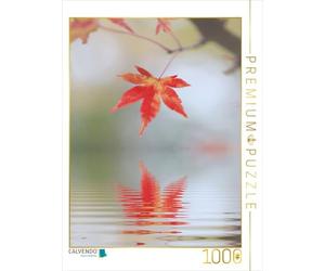 CALVENDO Puzzle Feuille d'érable d'automne avec reflet 1000 Pieces 48 x 64 cm from SusaZoom