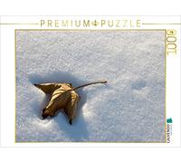 CALVENDO Puzzle Feuille flétrie dans la Neige 1000 Pieces 64 x 48 cm from Hans Seidl