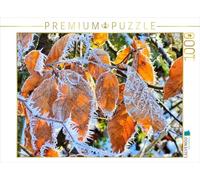 CALVENDO Puzzle Feuilles de Givre - Beauté à l'arrêt | 1000 pièces Taille de la Pose 64 x 48 cm Puzzle Photo pour des Heures heureuses