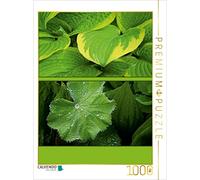 CALVENDO Puzzle Feuilles Vertes 1000 Pieces 48 x 64 cm from Martina Cross