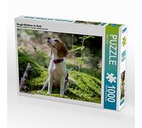 CALVENDO Puzzle Fille de Beagle dans la forêt 1000 Pieces 64 x 48 cm from Sonja Teßen