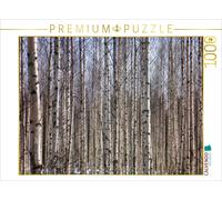 Puzzle · Finnland Birkenwald 1000 Teile Puzzle quer | 1000 pièces · Format assemblé 64 × 48 cm · CALVENDO Puzzle