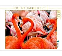 CALVENDO Puzzle Flamant Rose 1000 Pieces 64 x 48 cm from Peter Roder