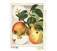 Puzzle · Cardinal flammé, en Bas Allemand : Falske Gravensteener | 1000 pièces · Format assemblé 64 × 48 cm · CALVENDO Puzzle