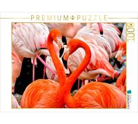 CALVENDO Puzzle Flamant Rose 1000 Pieces 64 x 48 cm from Peter Roder